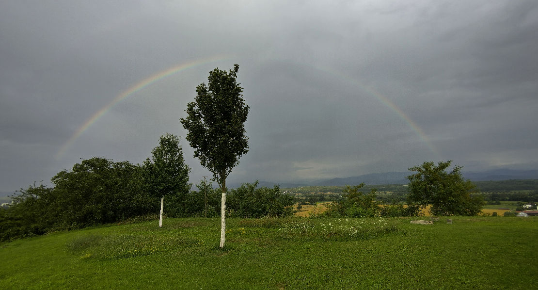 Ein Regenbogen spannt sich vor grauem Himmel über eine Wiese mit jnugen Bäumen.